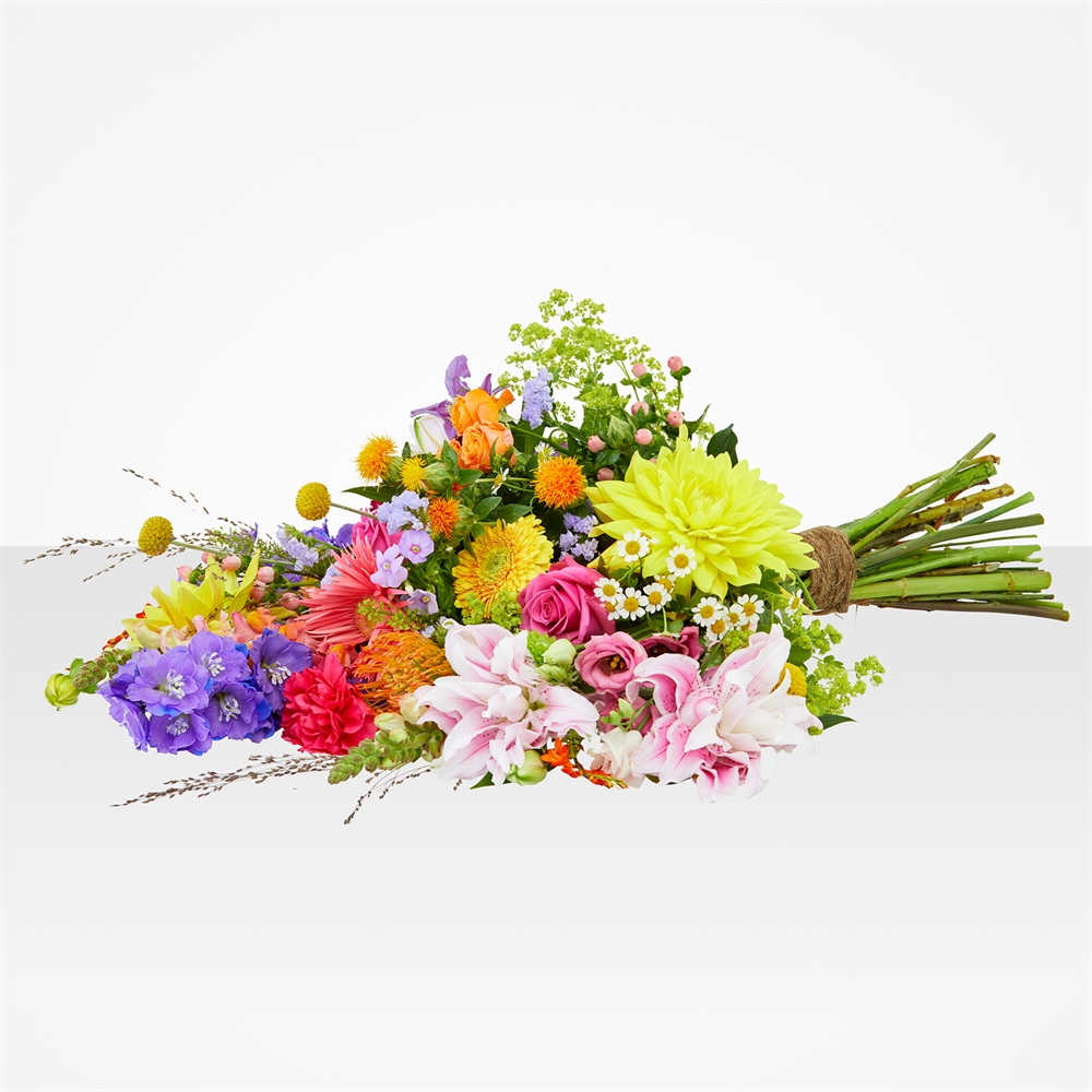 Kleurenpracht
